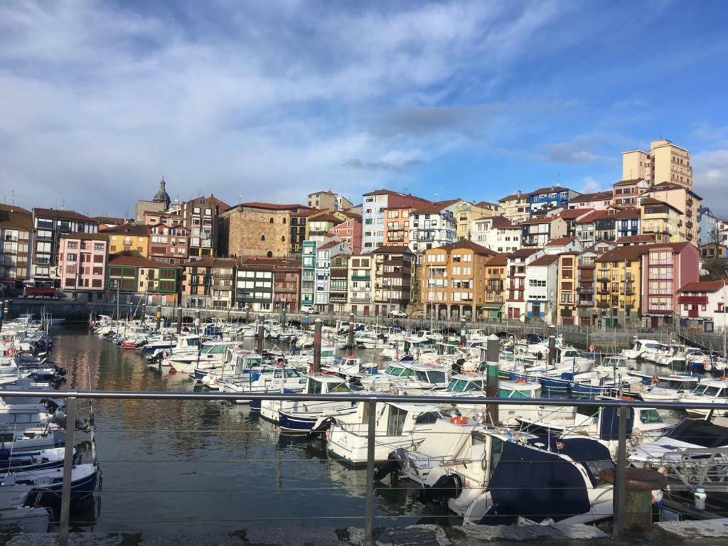 Apartamentos Urdaibai 2 Bermeo Eksteriør bilde
